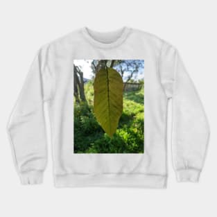 The Light that Passes Through You Crewneck Sweatshirt